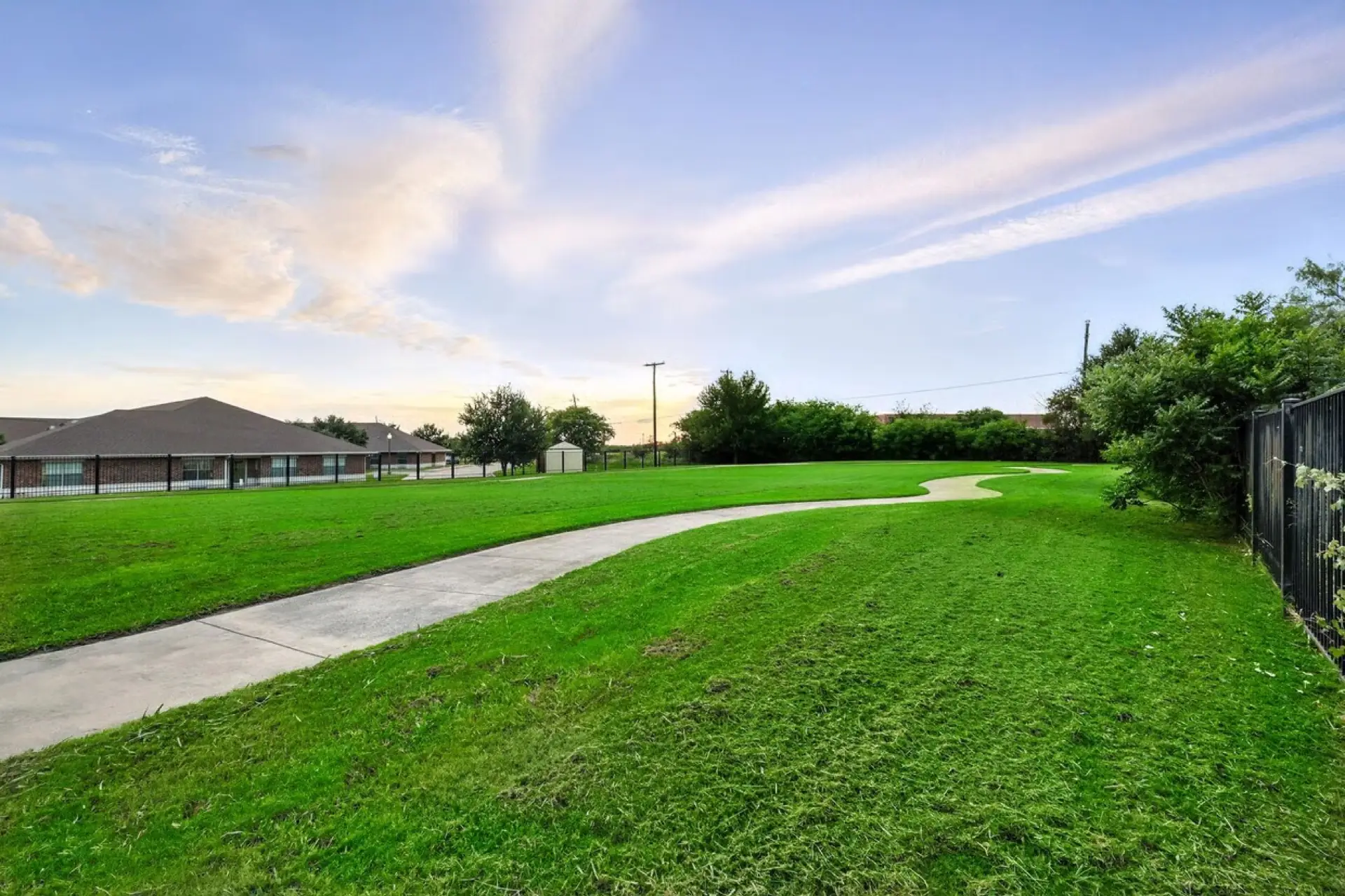 The lawn at sunset